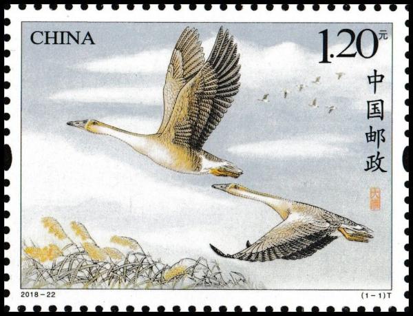 China and Hong Kong | 2018 Wild Goose China Postage Stamp Mint Never Hinged Multicolor China & Hong Kong China & Hong Kong