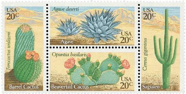 United States | 1981 Desert Plants Block of Four 20-Cent US Postage Stamps Multicolored Stamp Multicolored