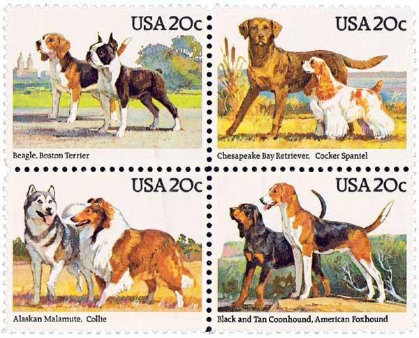 United States | American Dog Breeds Block of Four 20-Cent United States Postage Stamps Issued 1984 Multicolored Stamp Multicolored
