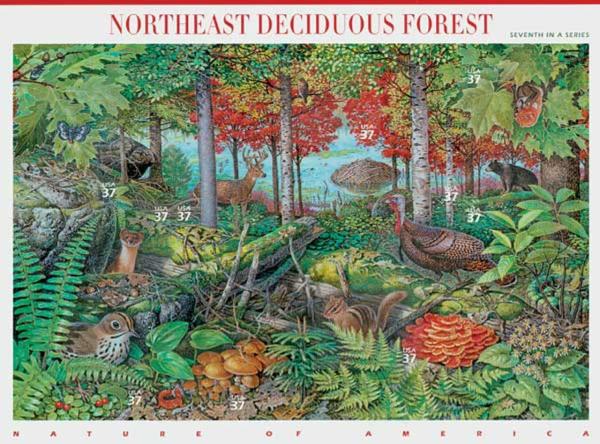 United States | Northeast Deciduous Forest Sheet of Ten 37-Cent United States Postage Stamps Issued 2005 Multicolored Stamp Multicolored