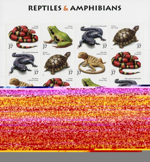 United States | Reptiles and Amphibians Sheet of Twenty 37-Cent United States Postage Stamps Issued 2003 Multicolored Stamp Multicolored