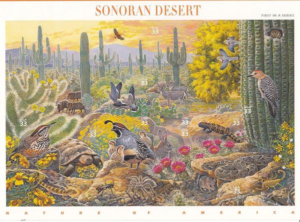 United States | Sonoran Desert Sheet of Ten 33-Cent United States Postage Stamps Issued 1999 Multicolored Stamp Multicolored