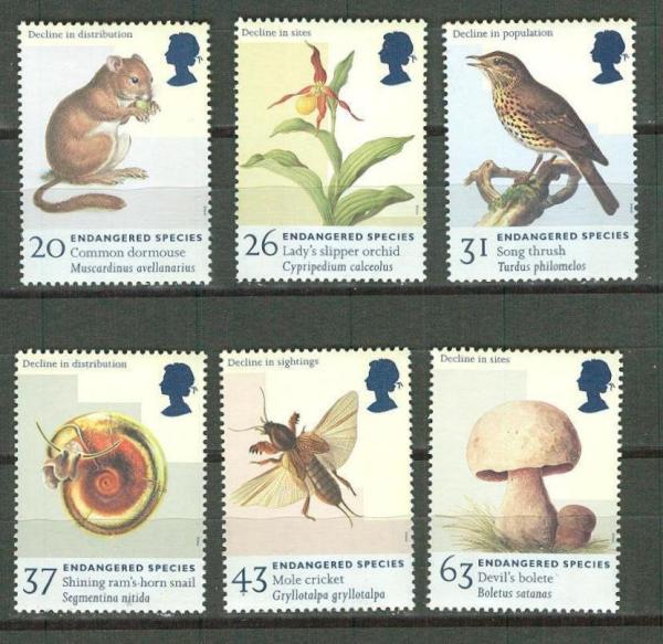 Britain and Ireland | British Endangered Species Set of Six Great Britain Postage Stamps Issued 1998 Multicolor Britain & Ireland Britain & Ireland